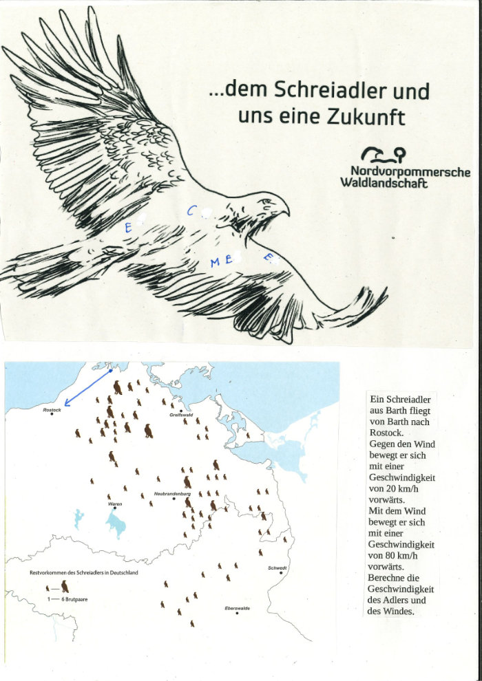 Blick auf Schreiadler in Vorpommern gestärkt und geschärft